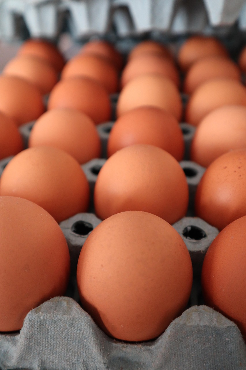 egg, egg-cup, paperboard, perspective, groceries, fresh, eggs, vintage, ingredient, protein, healthy, calcium, not plastic, sustainable, ecological, food, ingredients, power, natural, cholesterol, organic