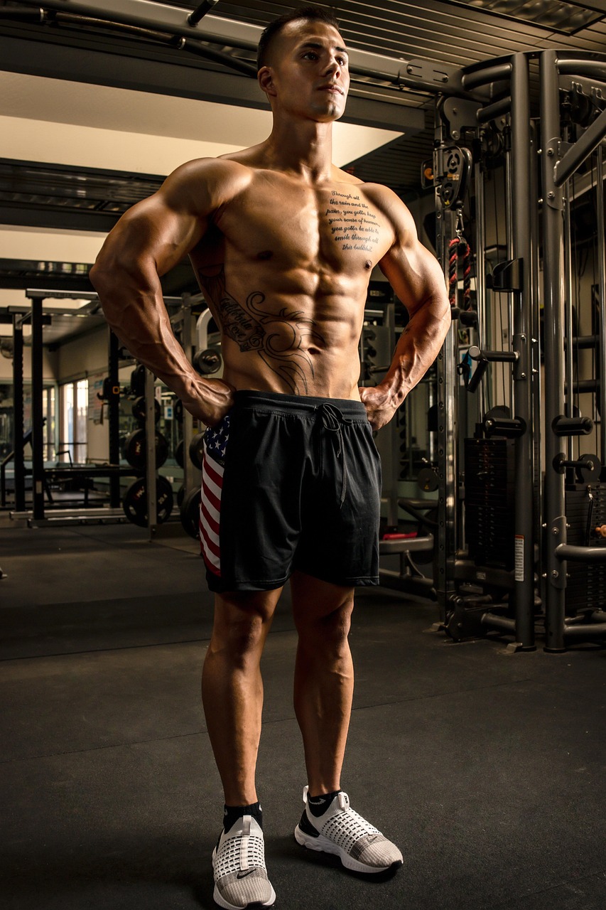 man, fitness, gym, male, boy, wellness, model, portrait, masculine, pose, muscular, bodybuilder, fit, active, gym, gym, bodybuilder, bodybuilder, bodybuilder, bodybuilder, bodybuilder
