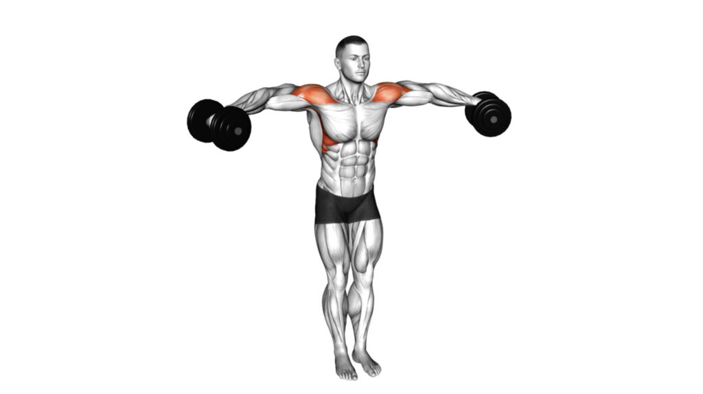Comment Faire Les l vations Lat rales Metamusculation comment-faire-les-l-vations-lat-rales-metamusculation