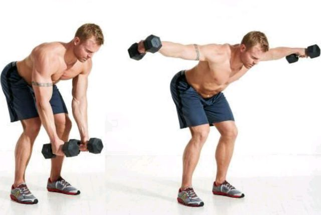 Oiseau avec haltères : exercice de musculation de l'arrière de l'épaule